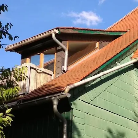 Ruheoase Mit Baumkronenblick *