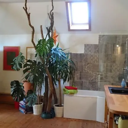 Ruheoase Mit Baumkronenblick Apartment *