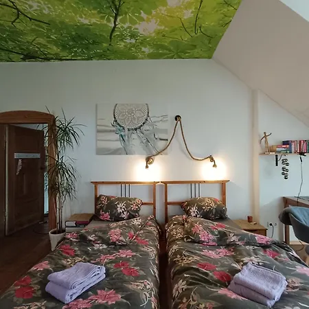 Ruheoase Mit Baumkronenblick *