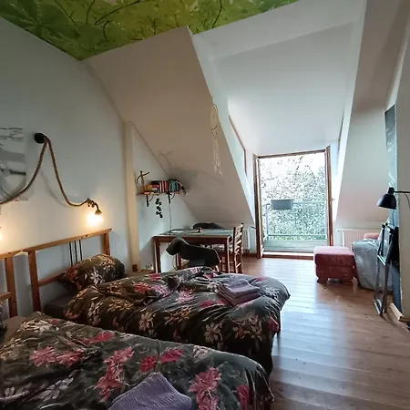 Apartment Ruheoase Mit Baumkronenblick